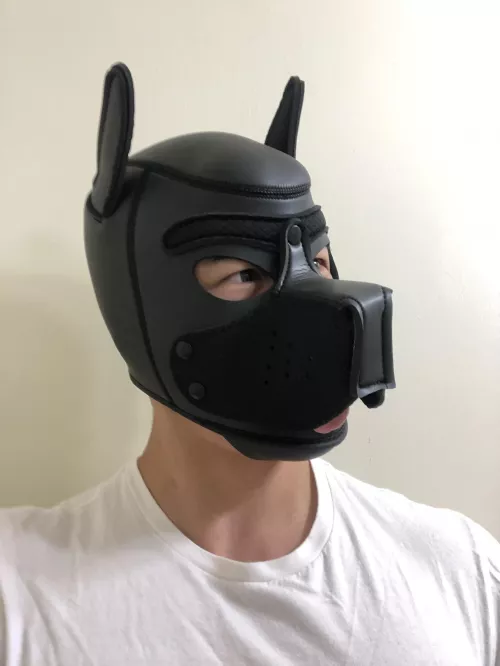 Self portrait of Ace! ♠️