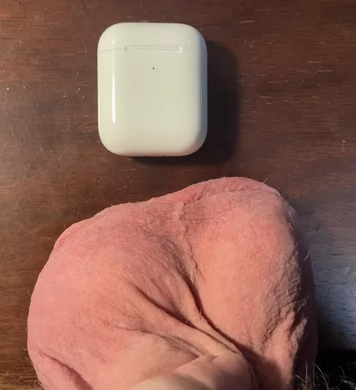 Serious question, would you consider these big? I’ve always felt like my balls were small, but I’m not sure if I just have a skewed perception. AirPods for scale. Sorry that the pic is not the best; I’m just trying to get some quick feedback.