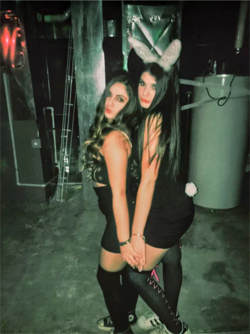 Sexy Bunnies
