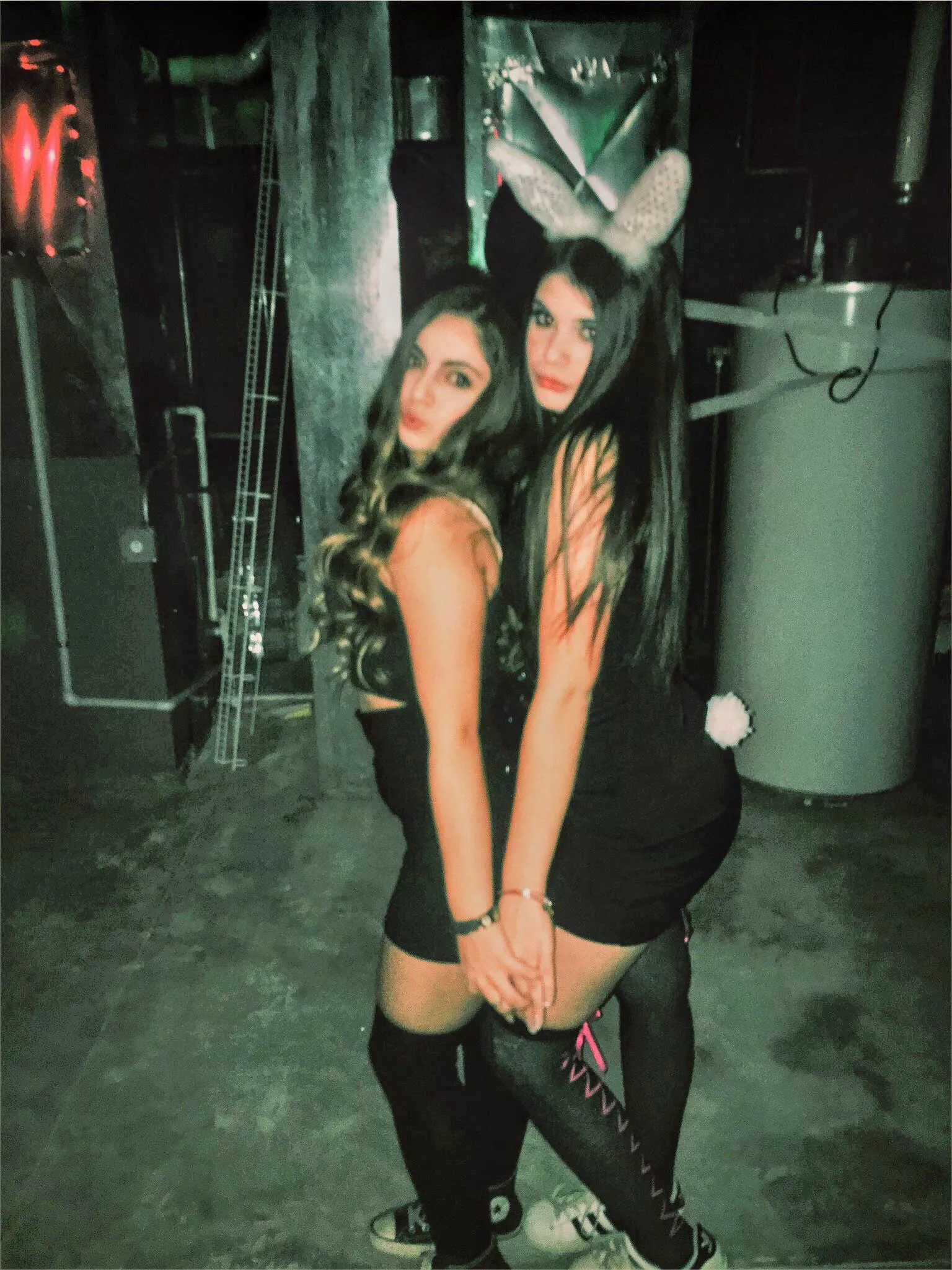 Sexy Bunnies
