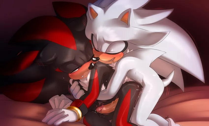 Shadow and Silver (krazyelf)