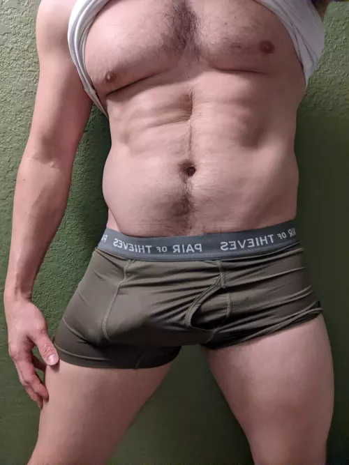 Sharing These Fitted New Briefs