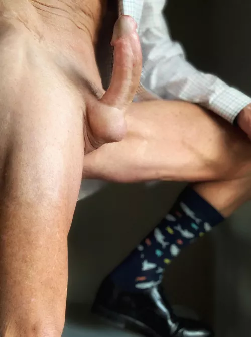 Shark socks, shark fin [55]