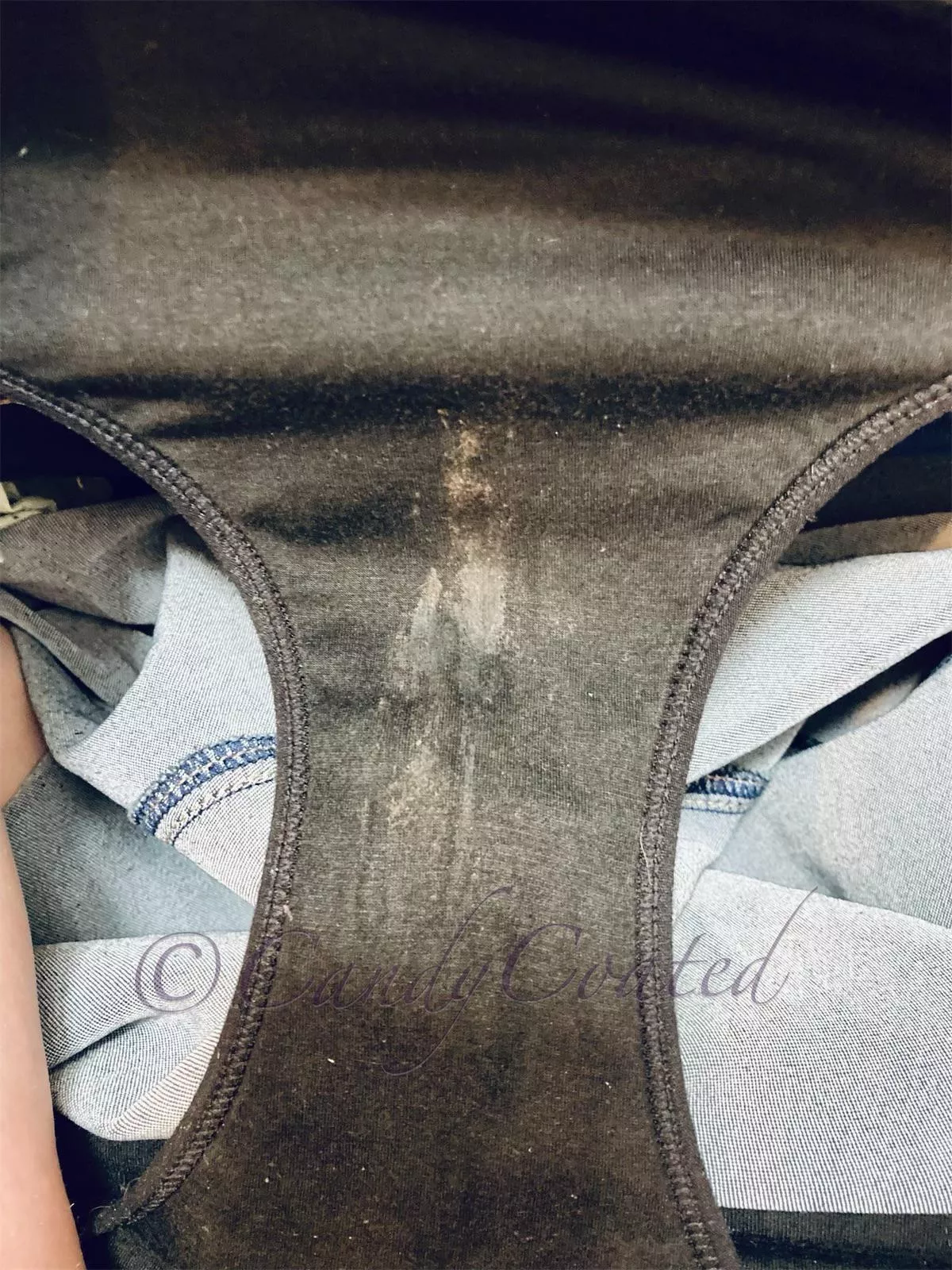 Shark week has begun 🦈