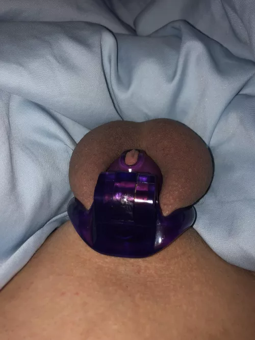 shaved and frustrated. perfect:)