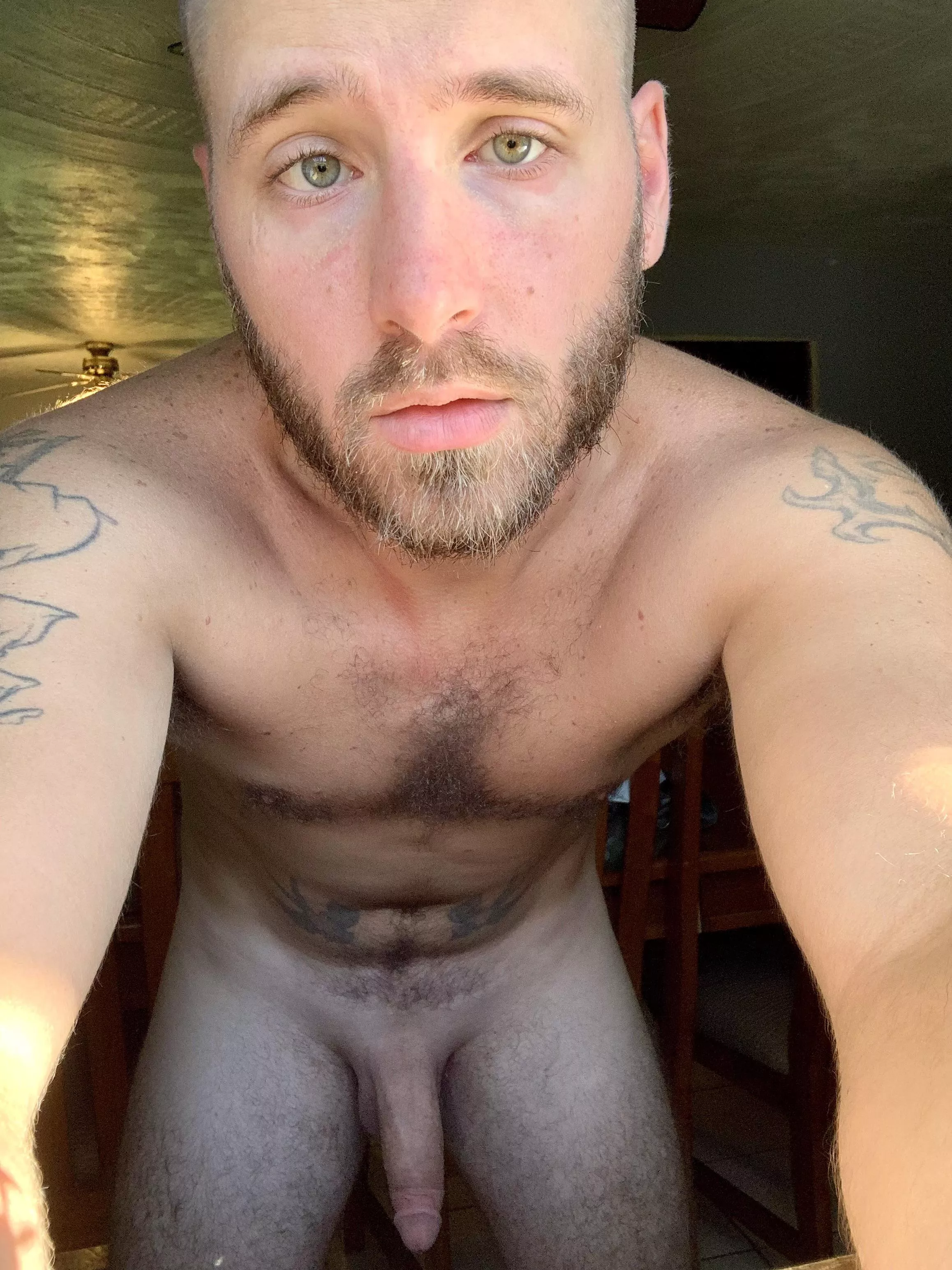 Shaved and showered and ready for your attention. PM’s welcome Shaved and showered and ready for your attention. PM’s welcome