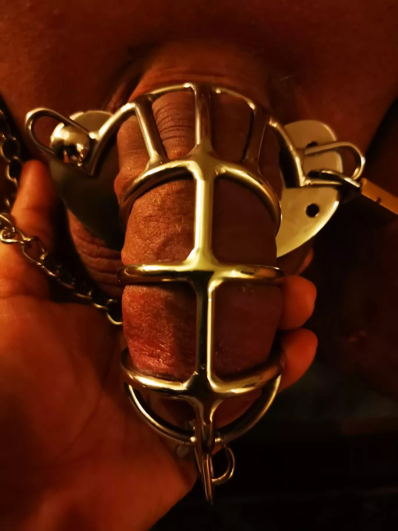 She got me a new cage that fits well. And with a chain on it to put me on a leash when she desires to.