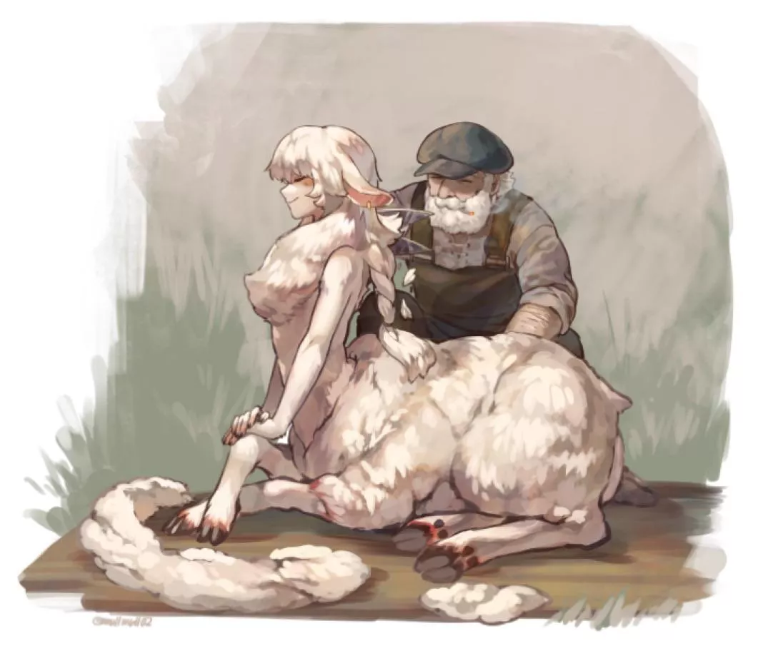 Sheep
