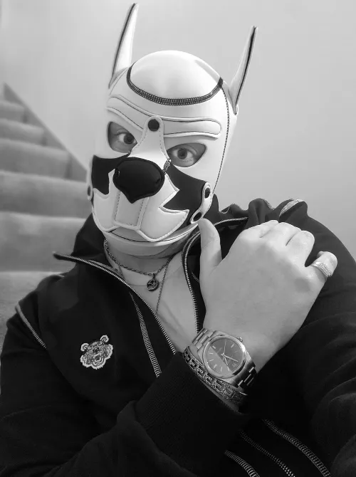 Shine on you crazzzyyy puupppperrzzz! Awoo woo