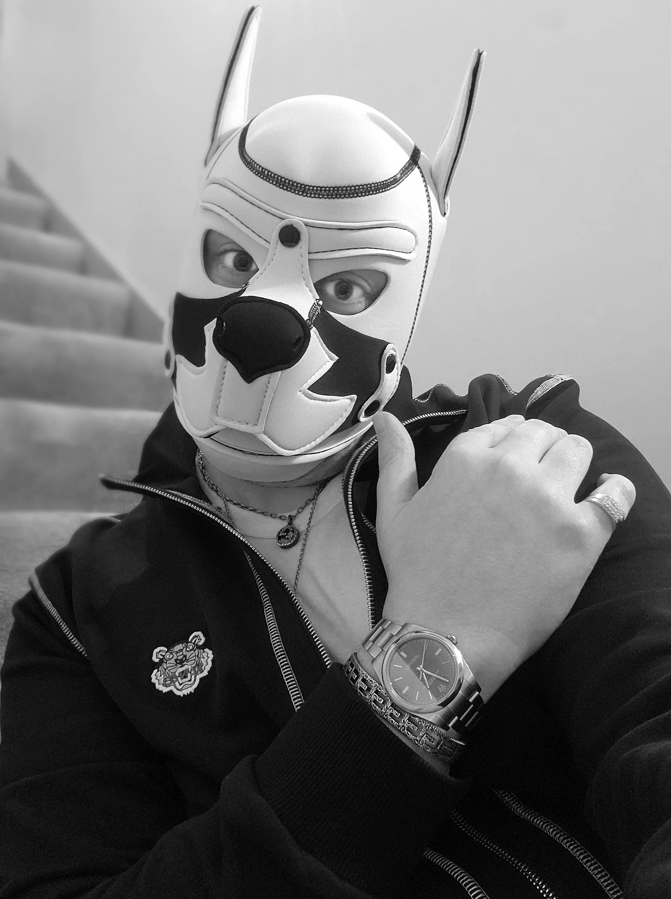 Shine on you crazzzyyy puupppperrzzz! Awoo woo