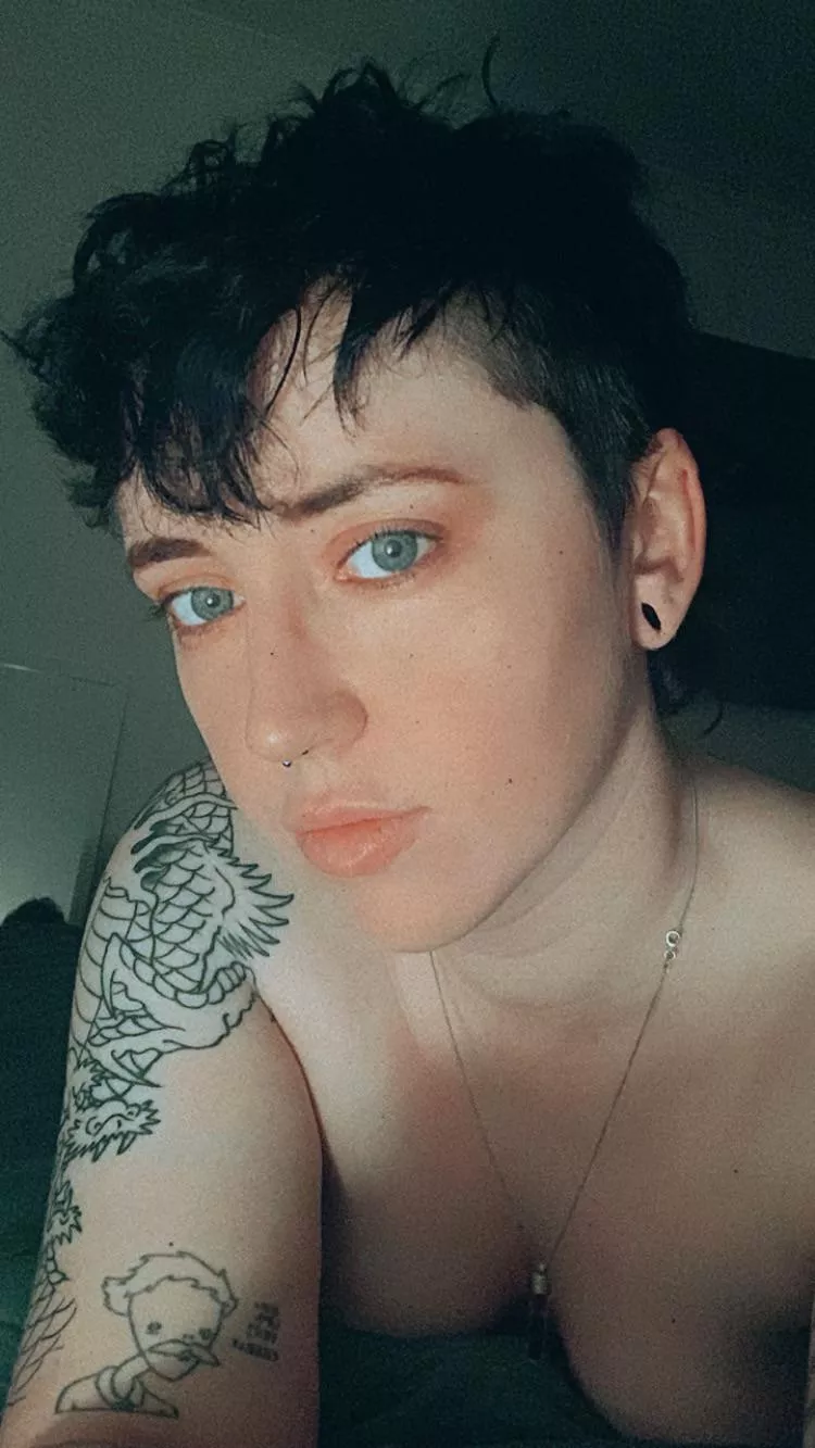 Shortly before a cat climbed on me