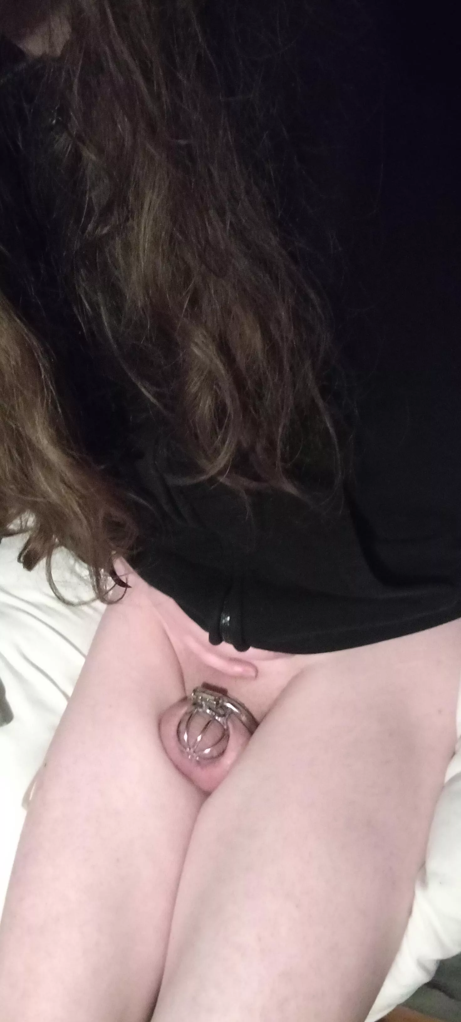 Should I be allowed to cum for Christmas?