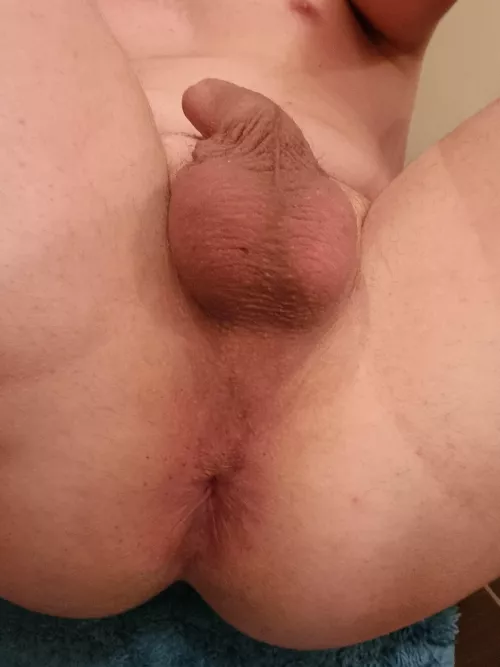 Should I buy a cage for my clitty? (23)