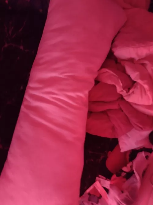 should little me hump this big pillow? 🥺