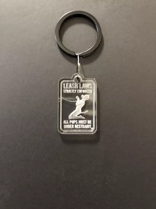 Should this law and tag be standard with pups? (I made the tag)