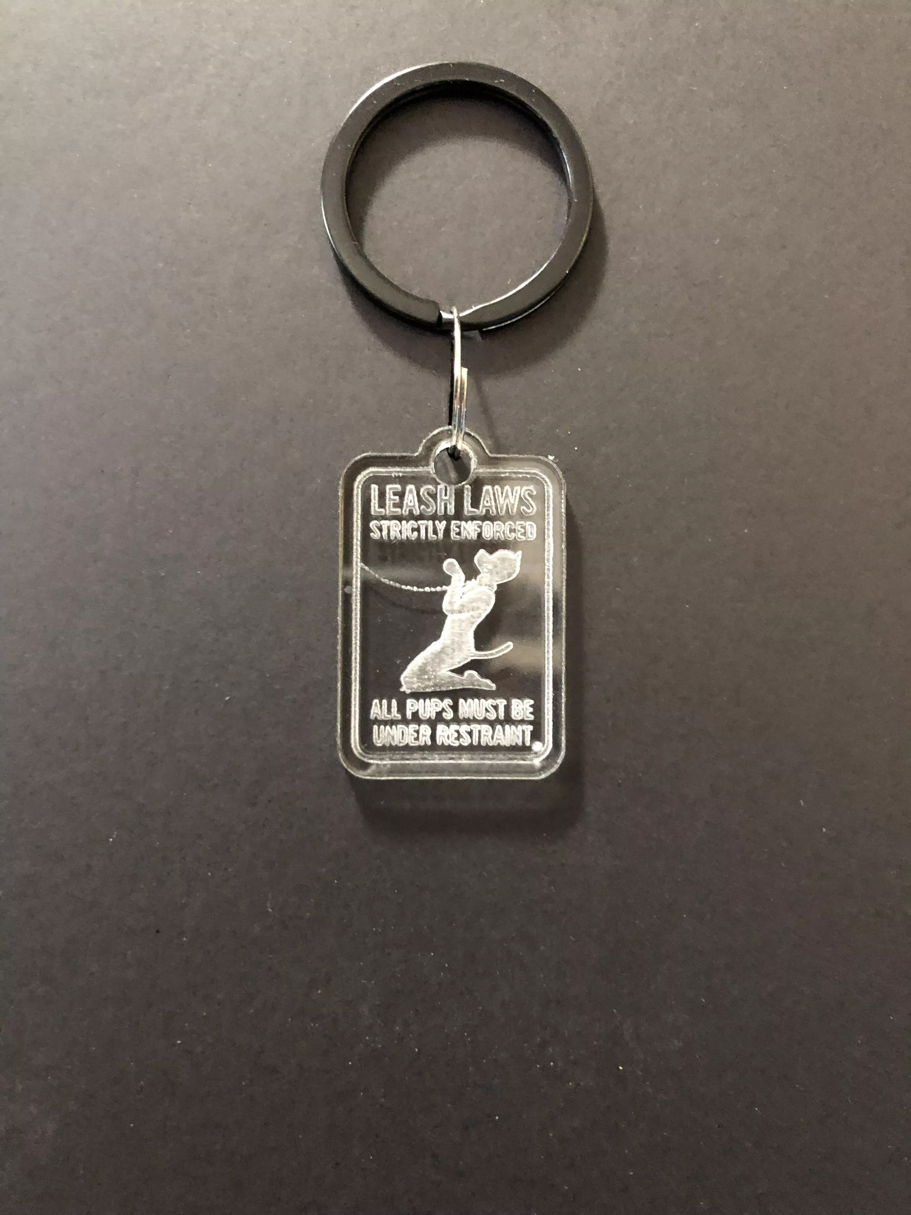 Should this law and tag be standard with pups? (I made the tag)