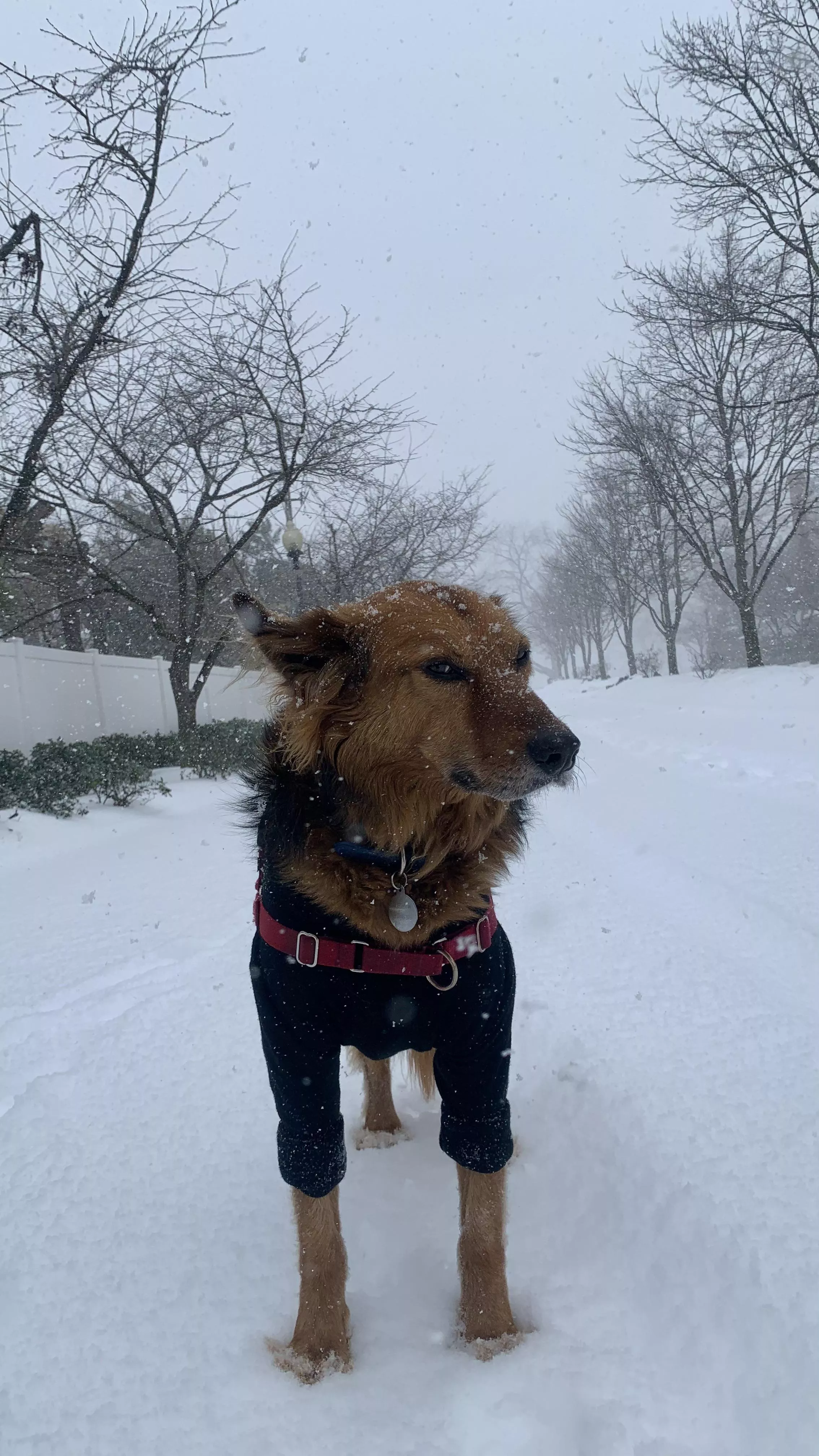 should’ve stayed in California should’ve stayed in California