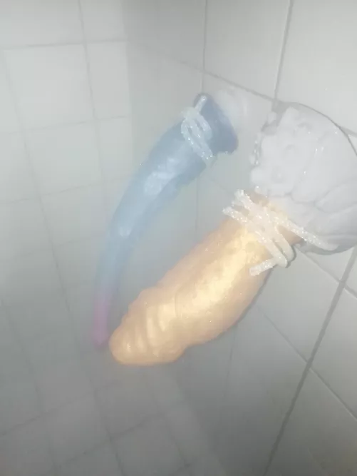 Shower time 🤤 large crackers and medium sinnovator