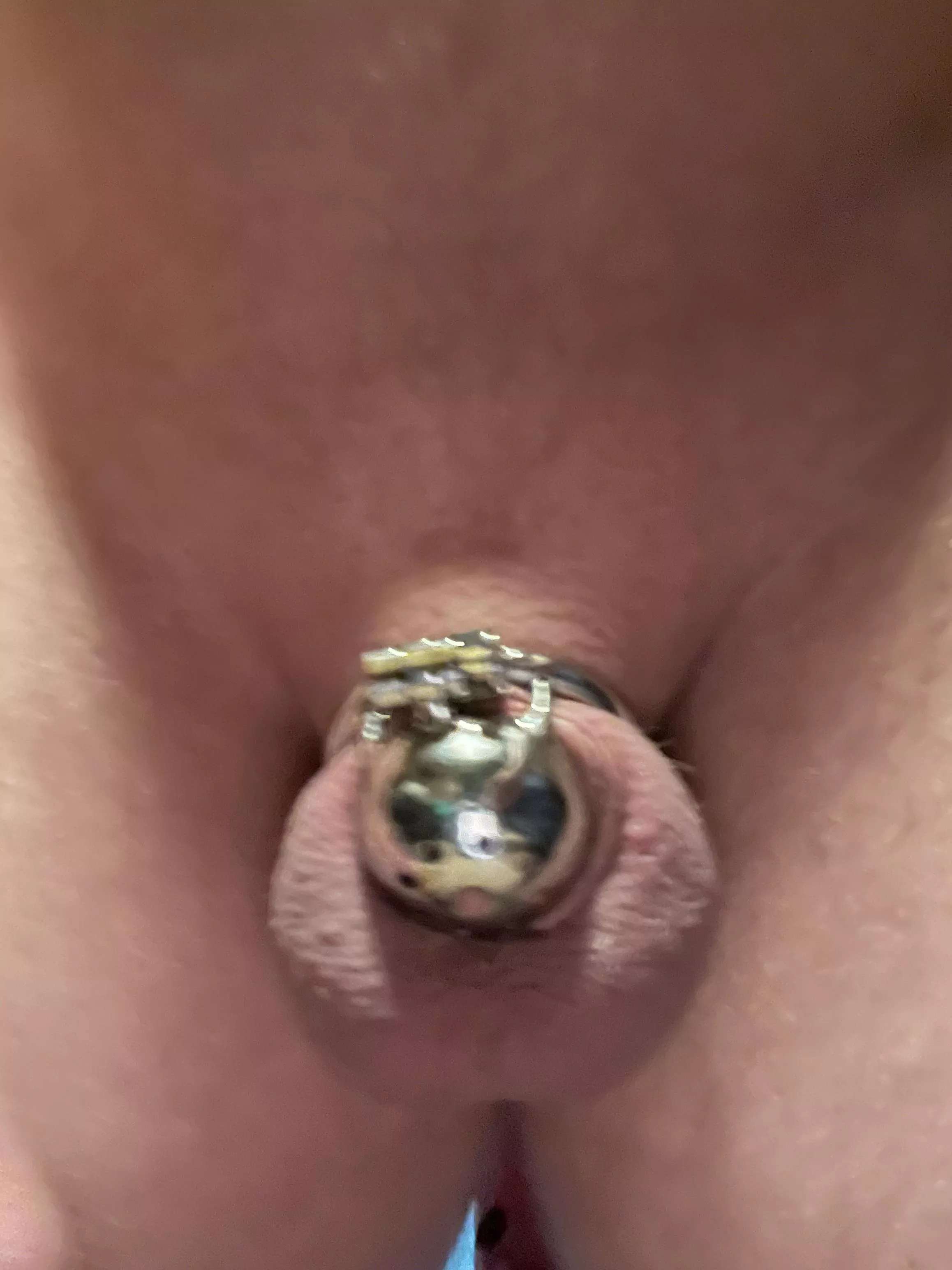 Showered and shaved and back in chastity Showered and shaved and back in chastity