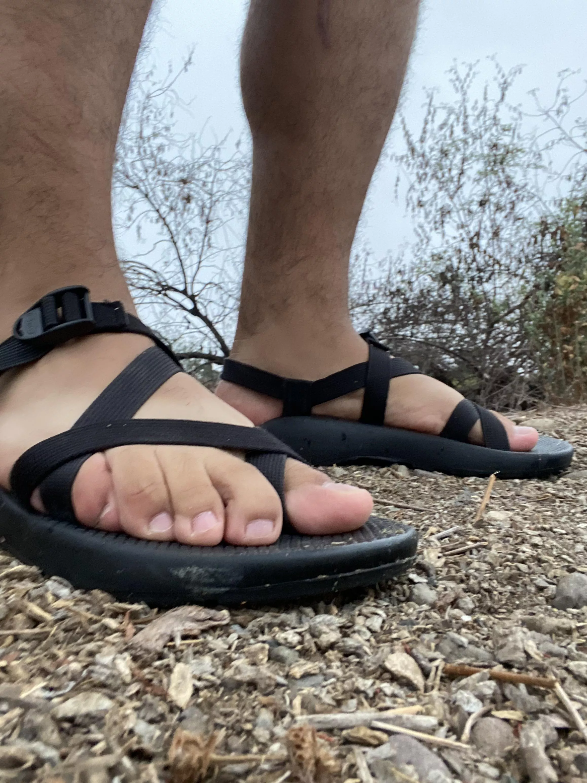 Showing My Chacos - my cock was throbbing as I passed other walkers/joggers. Showing My Chacos - my cock was throbbing as I passed other walkers/joggers.