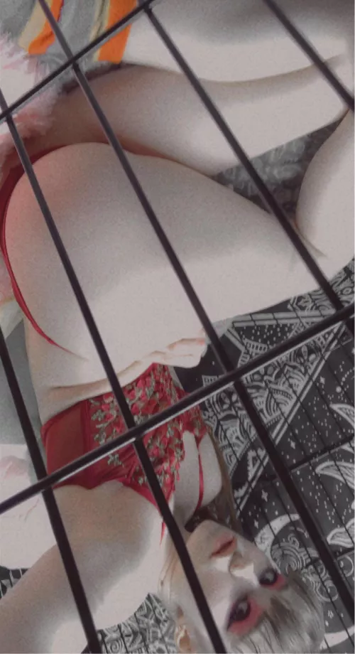 Showing off my booty in my cage🍑👅