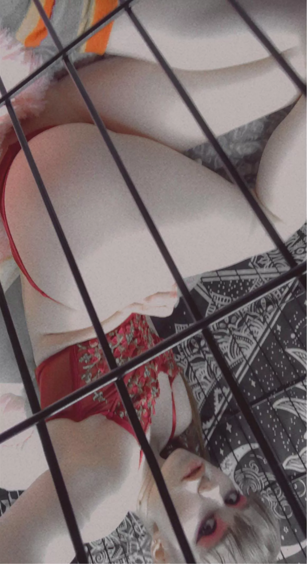 Showing off my booty in my cage🍑👅