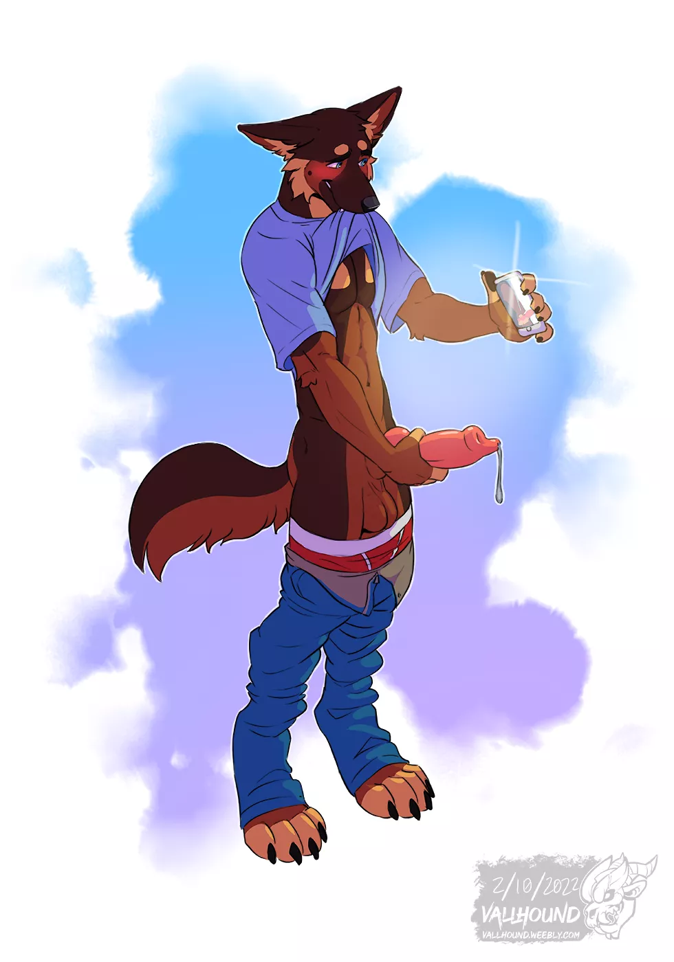 Shy Selfie (vallhund)