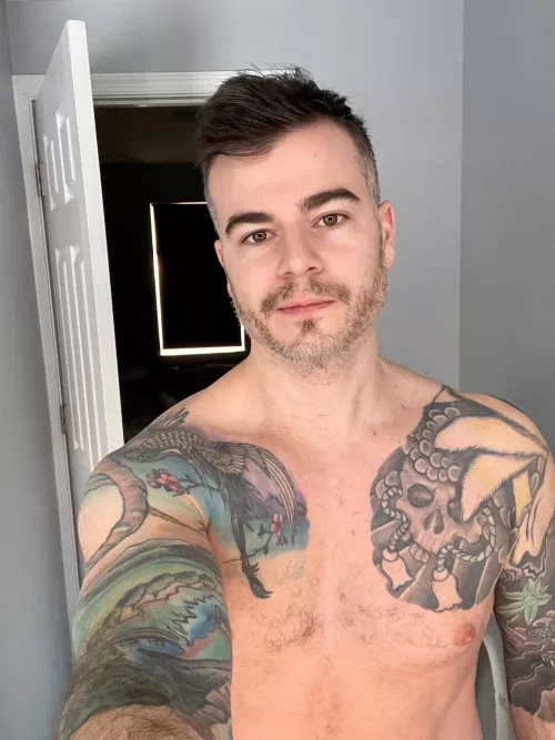 Silver fox in training