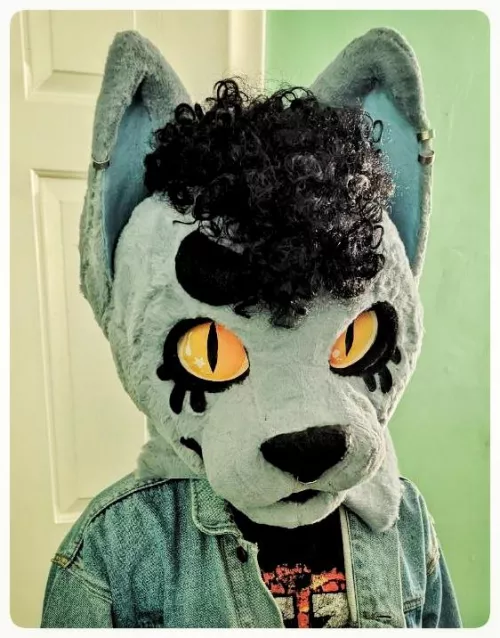 Since finishing my first project Havoc, I'm looking to do some more at a fair price since I'm a beginner. if you'd like to give me a shot at making a head for your sona, dm me for my Telegram :)