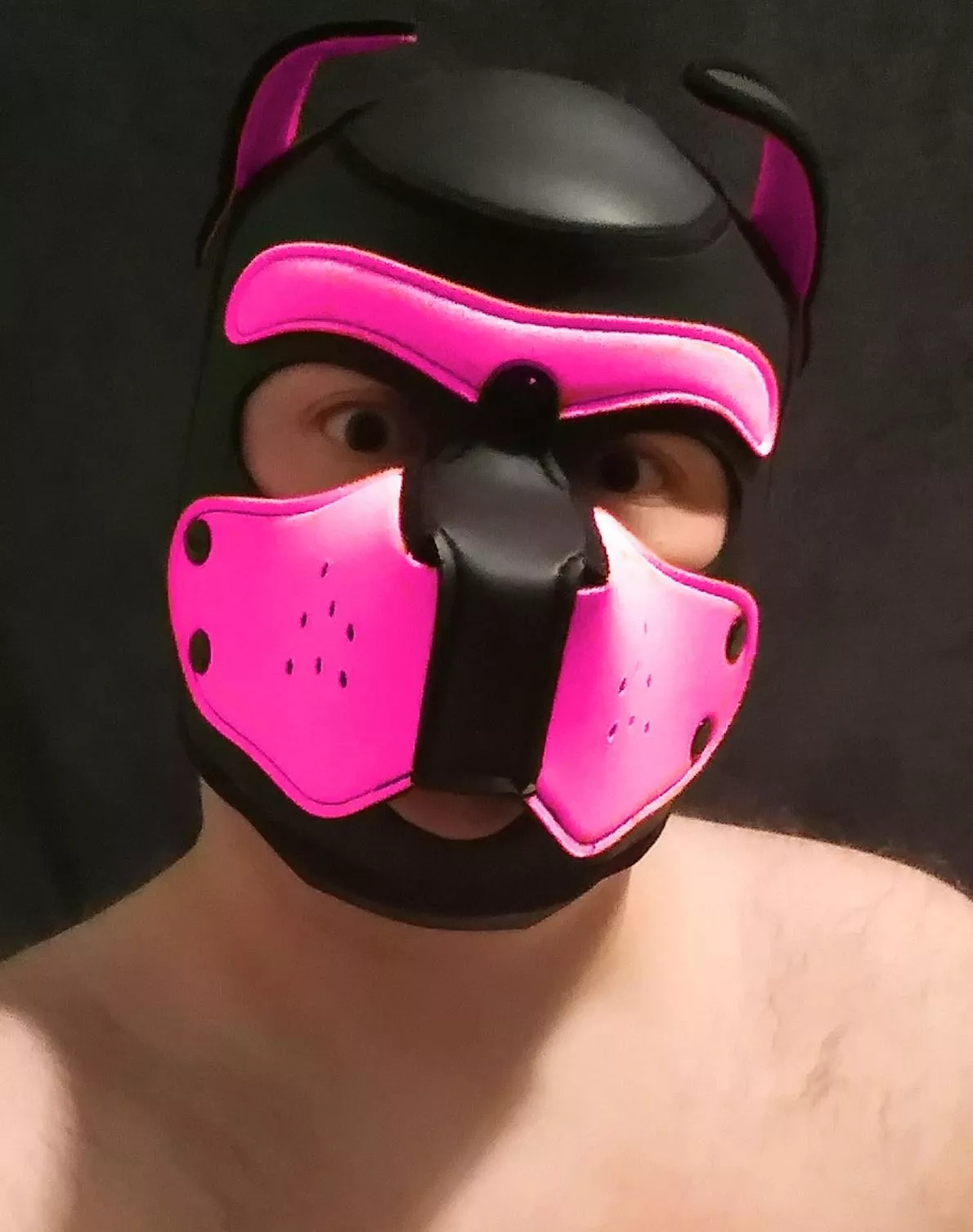 single pups hmu 😘