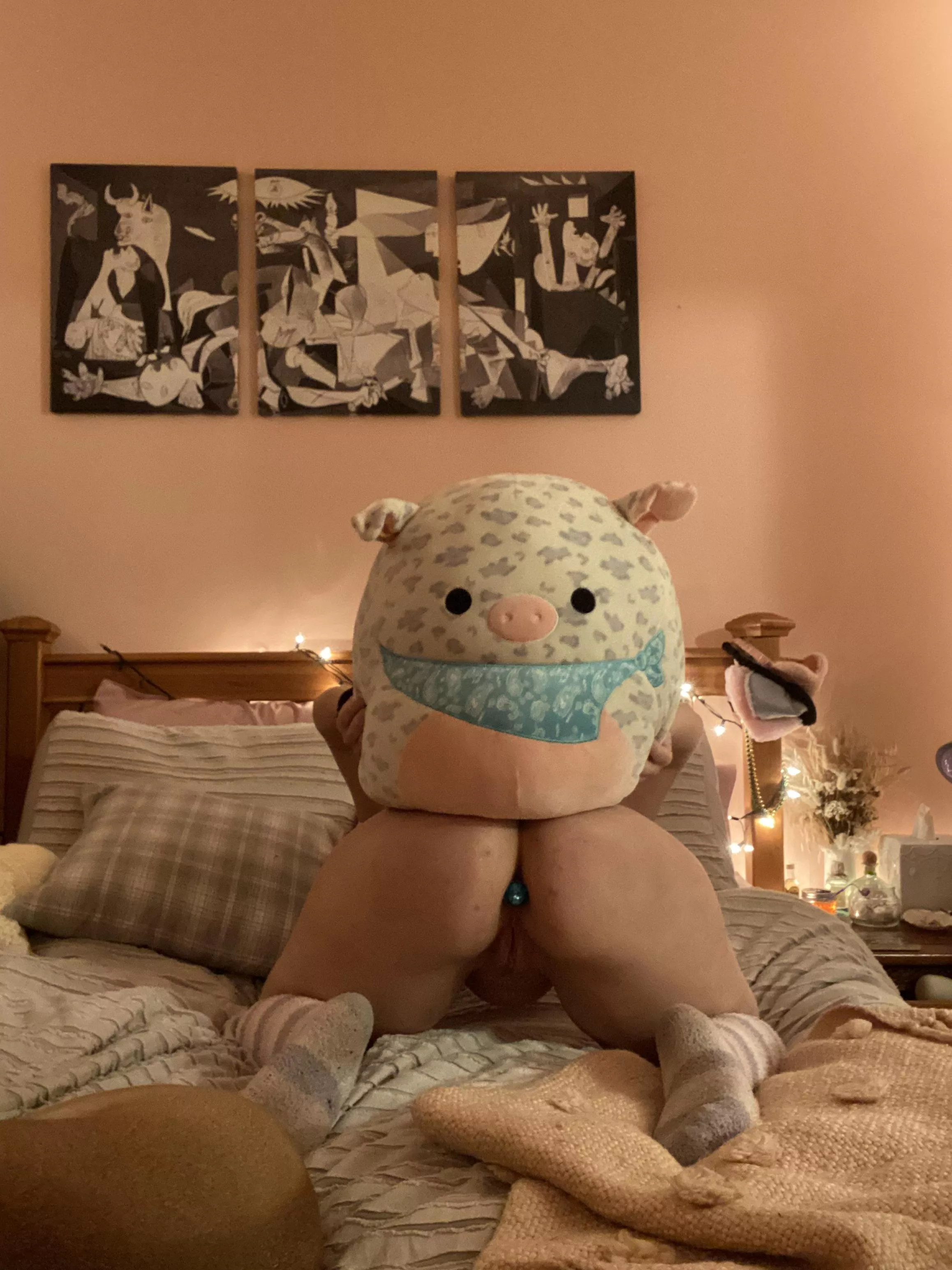 Sir got me a new stuffie! Everybody, meet Rosie the Piggy! Sir got me a new stuffie! Everybody, meet Rosie the Piggy!