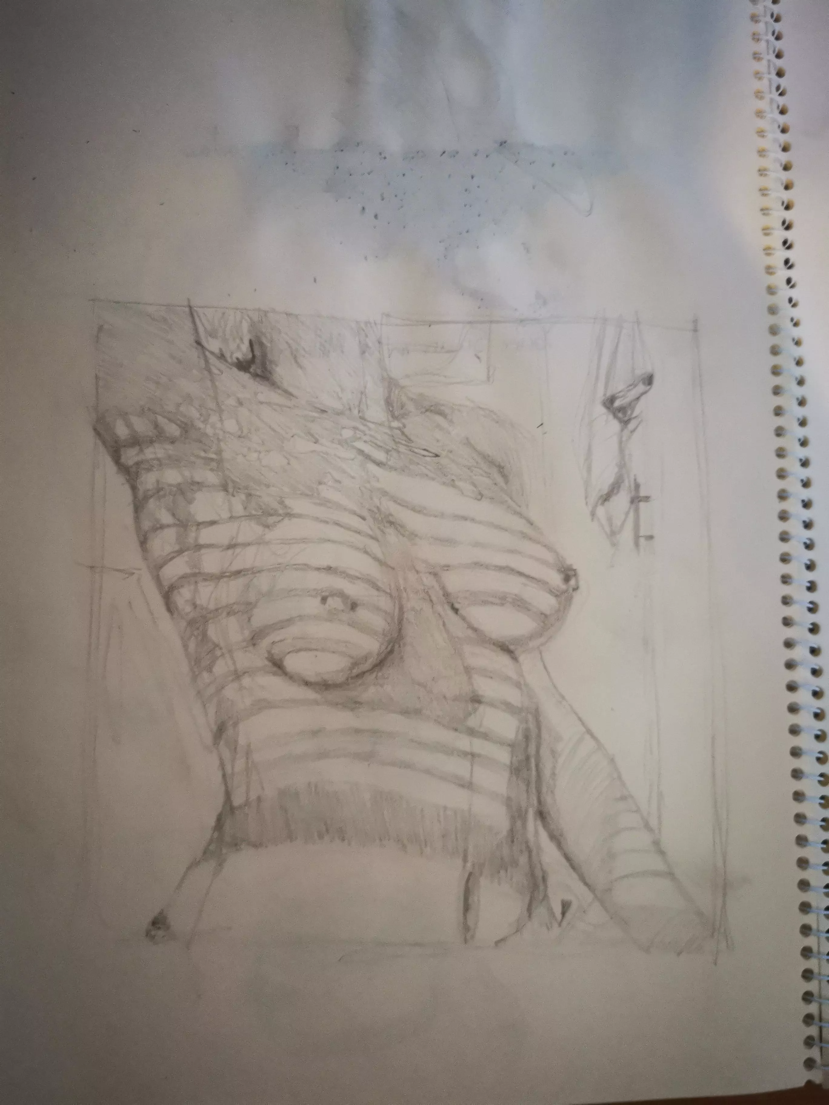 Sketch of u/BustyFlynn, going to use ink in and water for coloring and shading, first proper sketch in 1year so any help would be appreciated :)