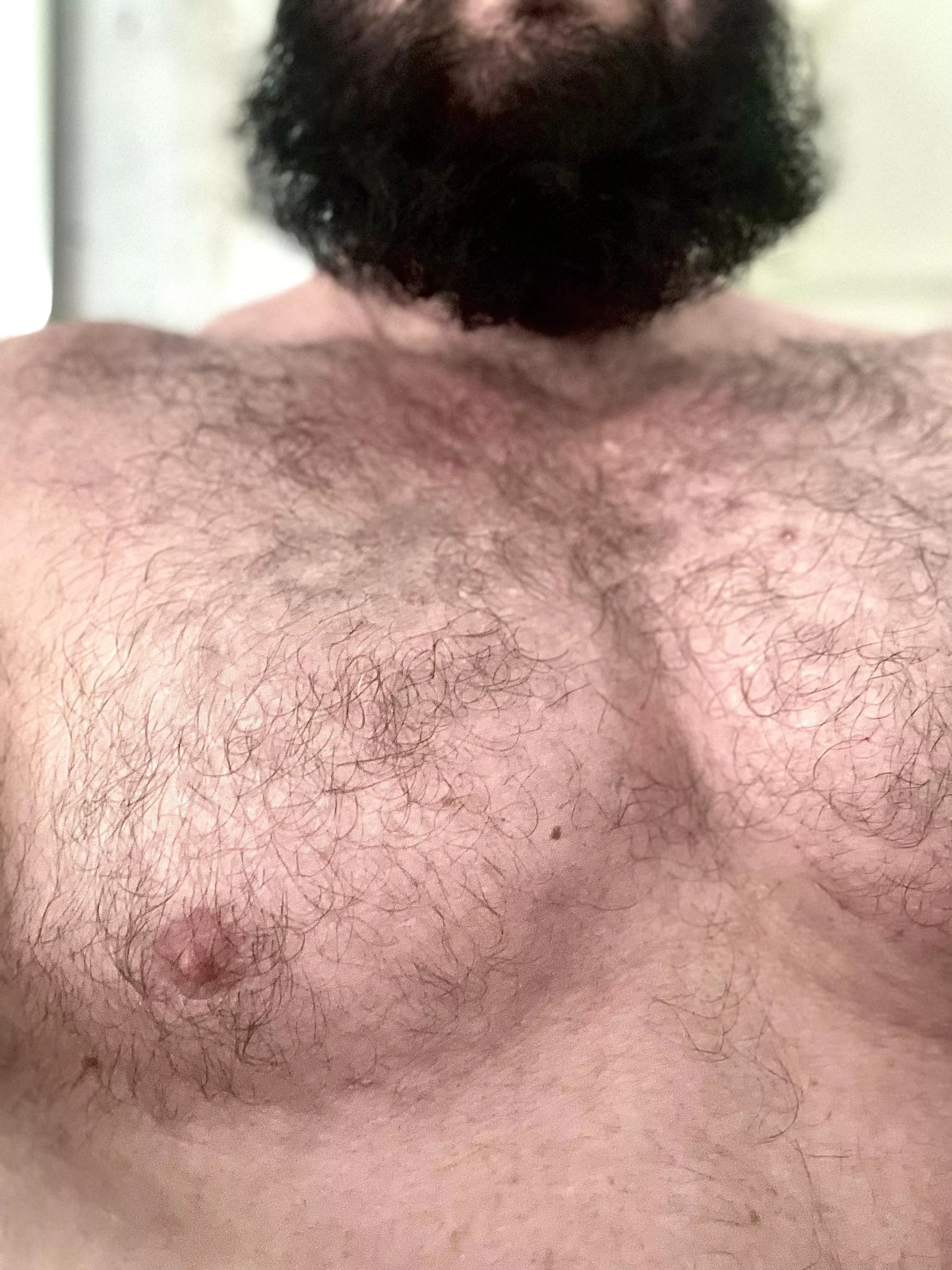 Small bush, heavy pecs Small bush, heavy pecs