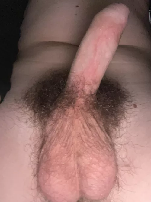 Small uncut hairy cock and balls. DMs open