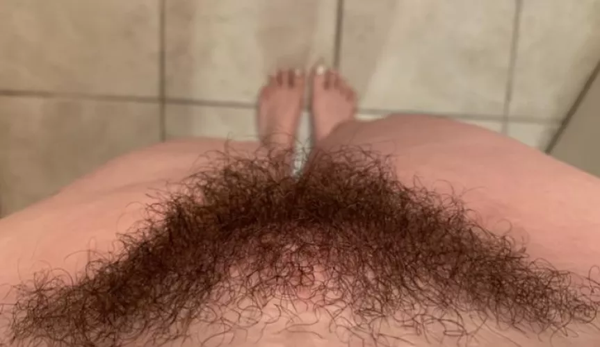 Smash or Pass?