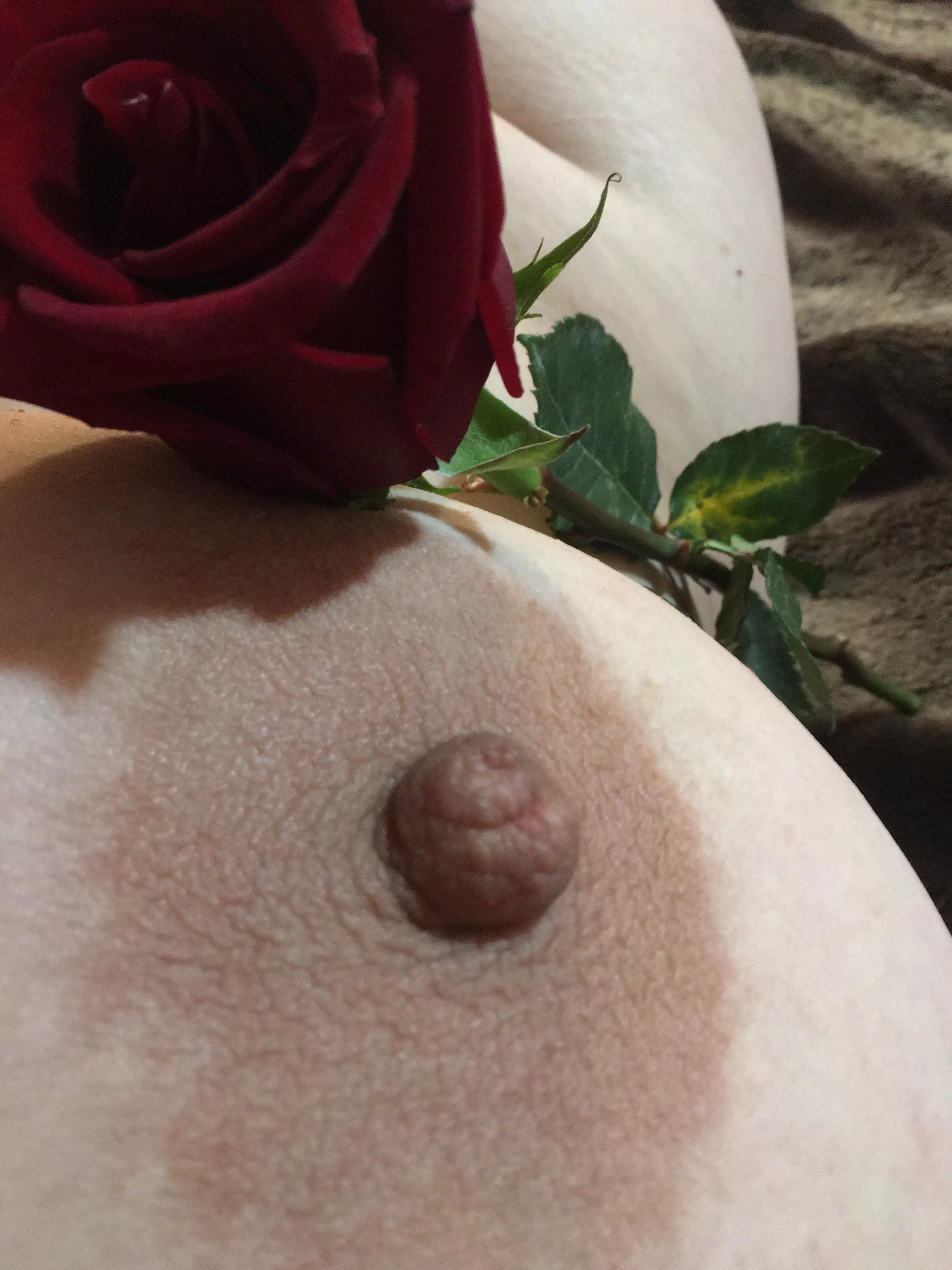 Smell the rose. And while you’re that close please suck my nipple!