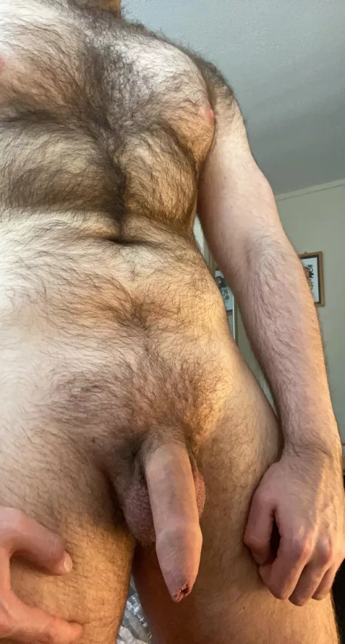 Smooth Scottish softie