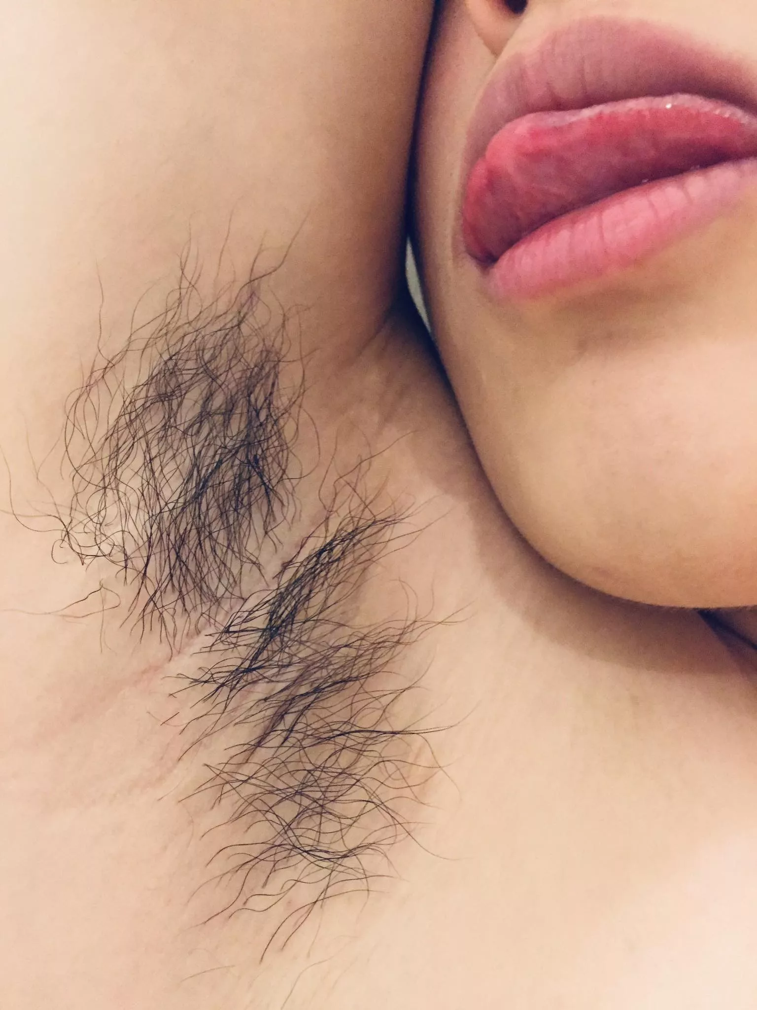 Sniff it or lick it? You choose. Sniff it or lick it? You choose.