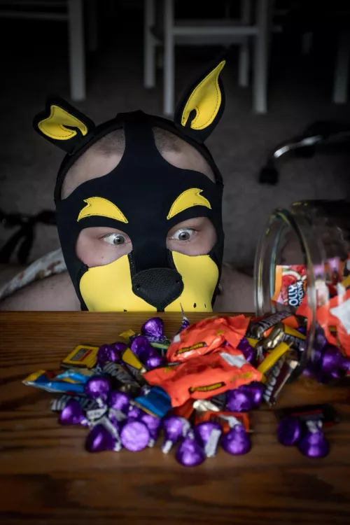 *sniff sniff* what's this???