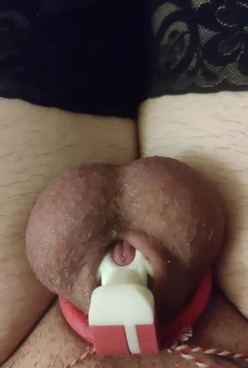 So cute and tiny 🥰 Maybe i should downsize to the Innie? 🤔