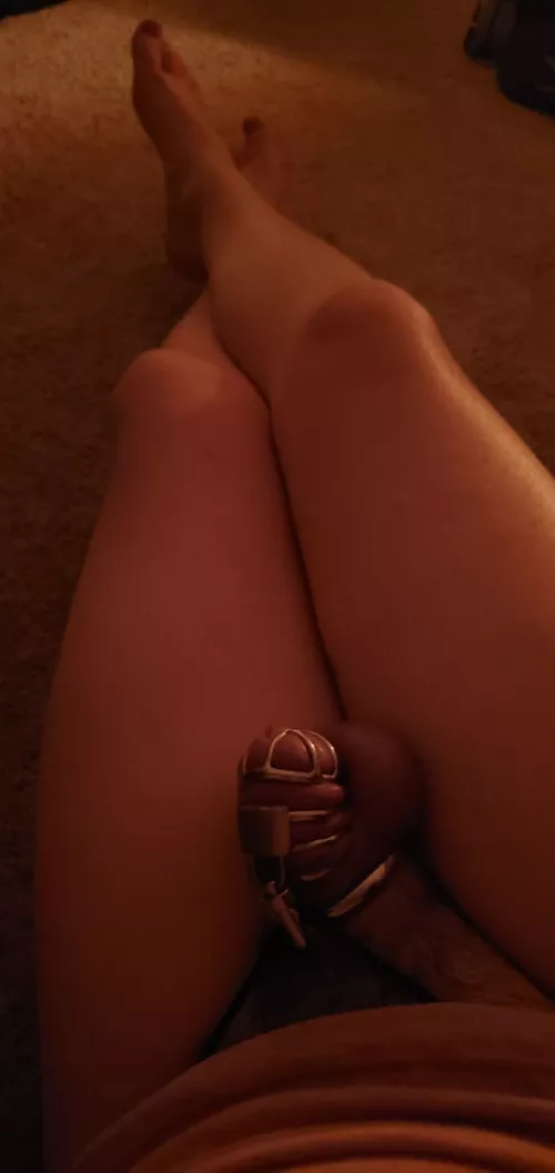 So cute how its trying to get out!