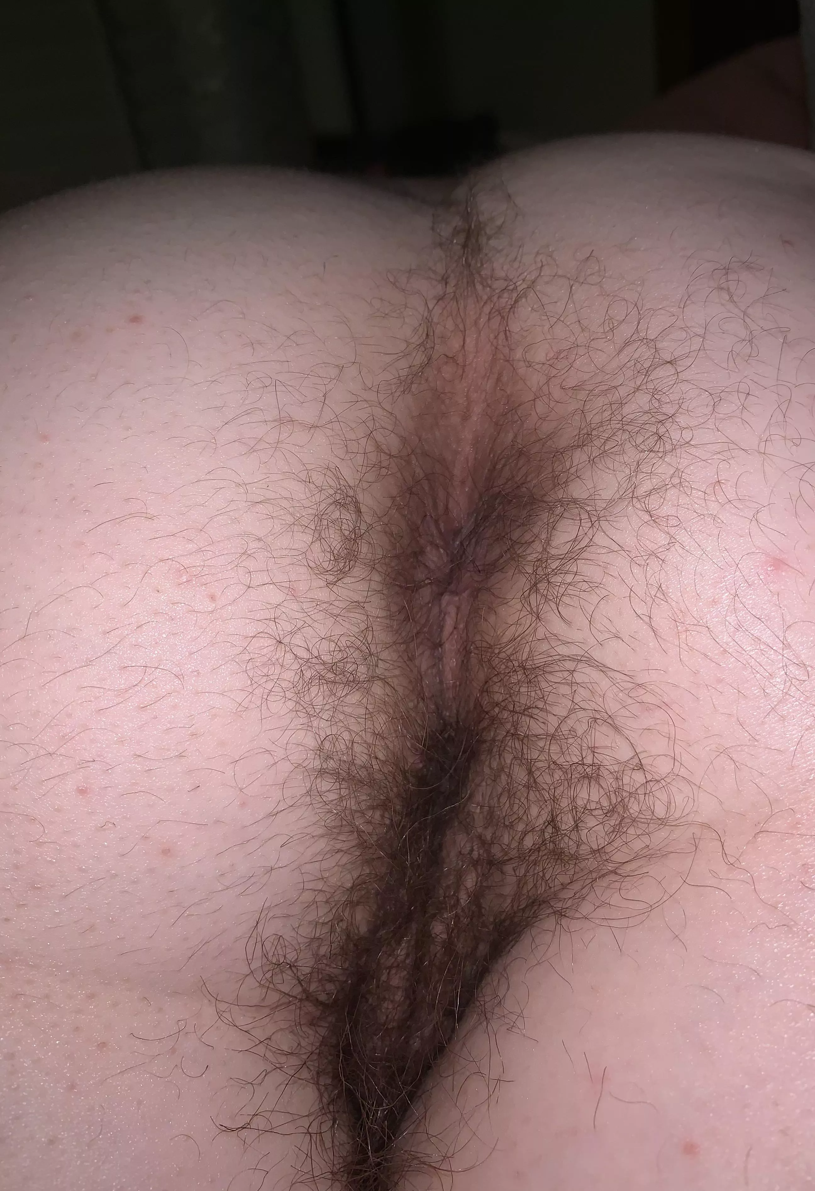 So I heard you like hairy asses?😏