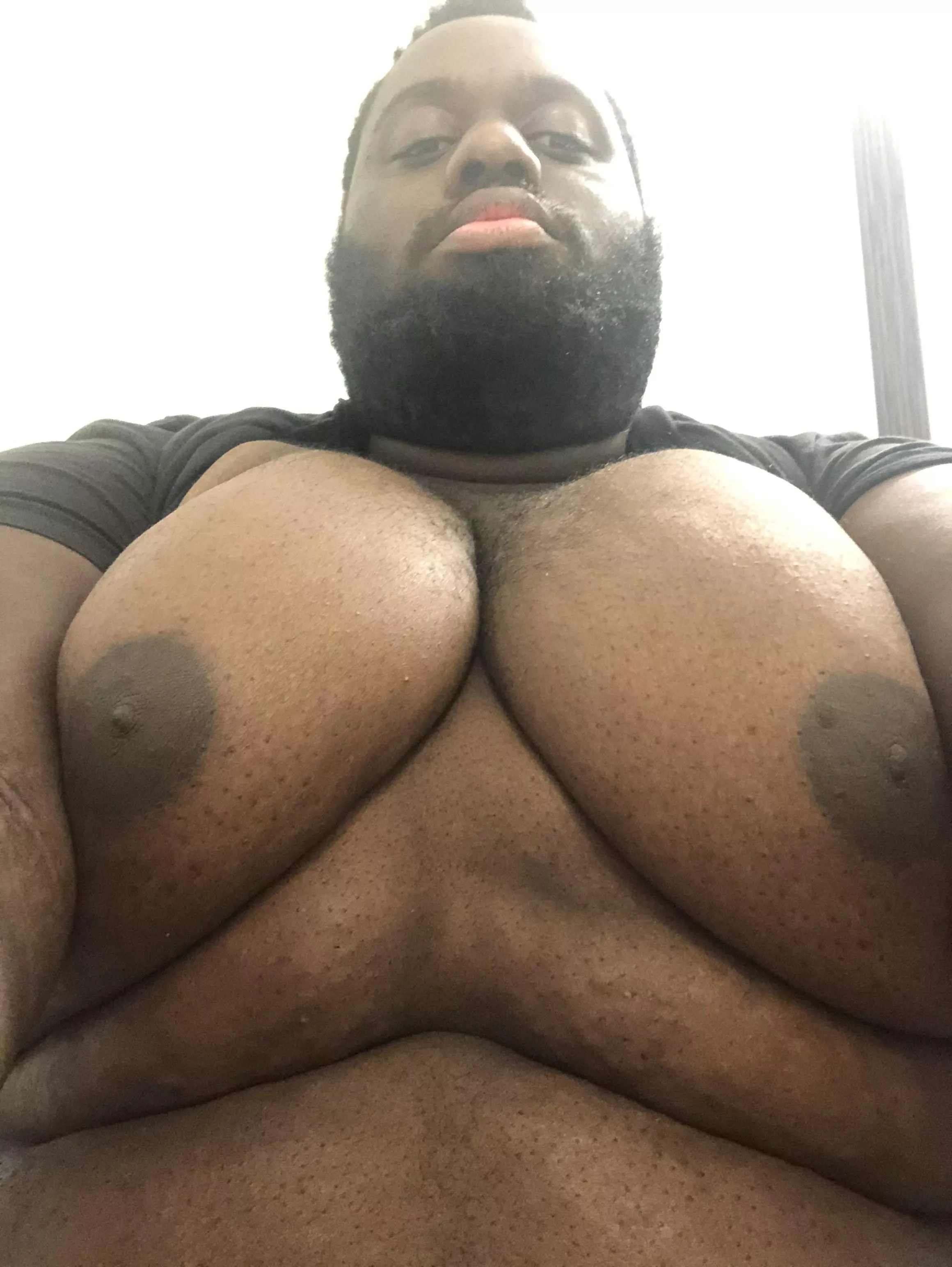 So I made a Twitter for my big moobs, let me know if you want to see it!