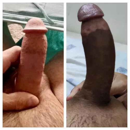 So, who won? Comparing with _Lifeaintshit_