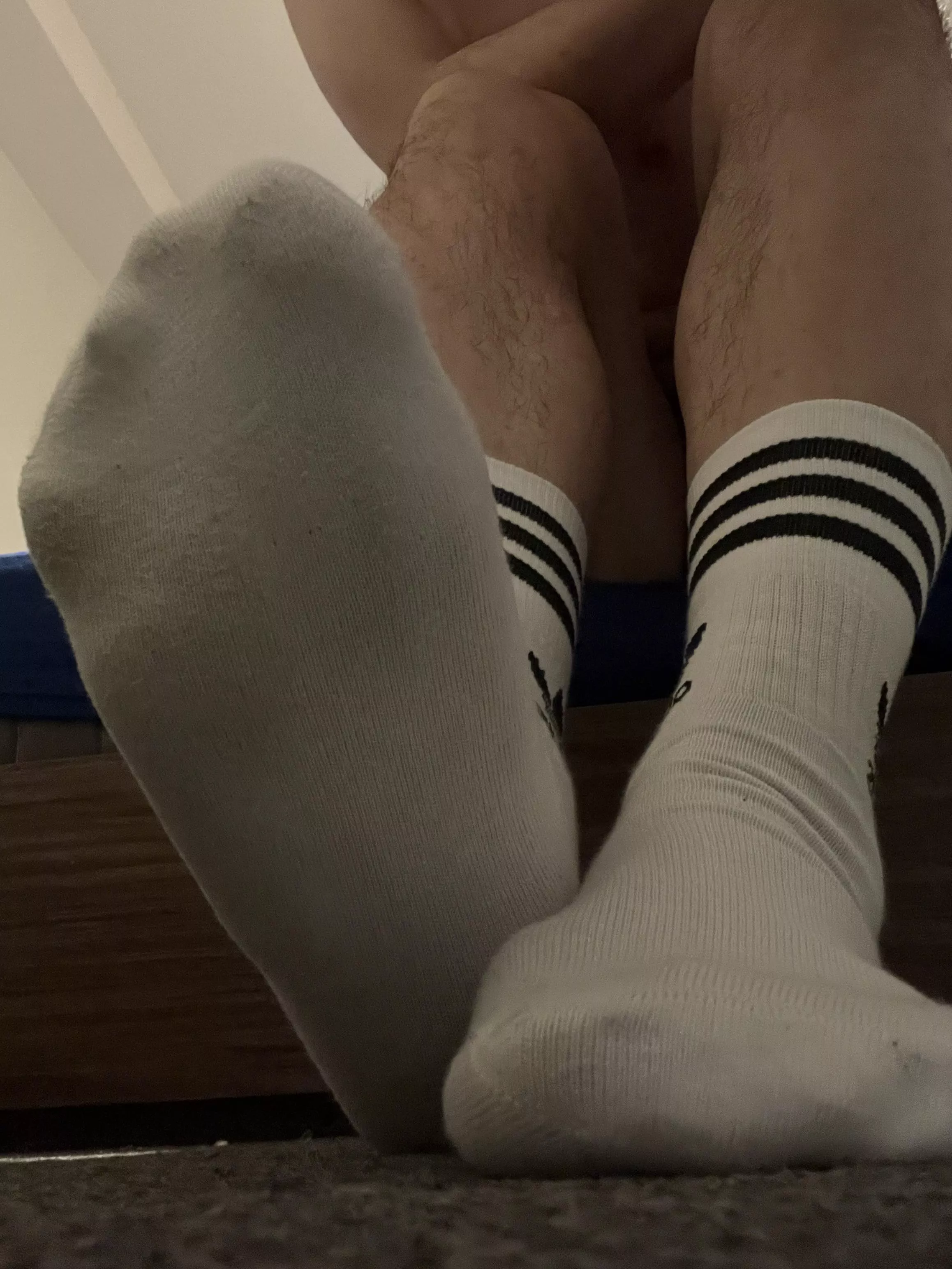 Socks anyone
