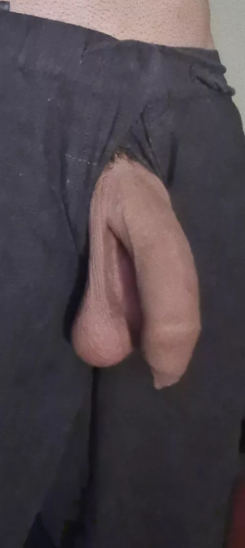 Soft hanging dong 🇦🇺 25