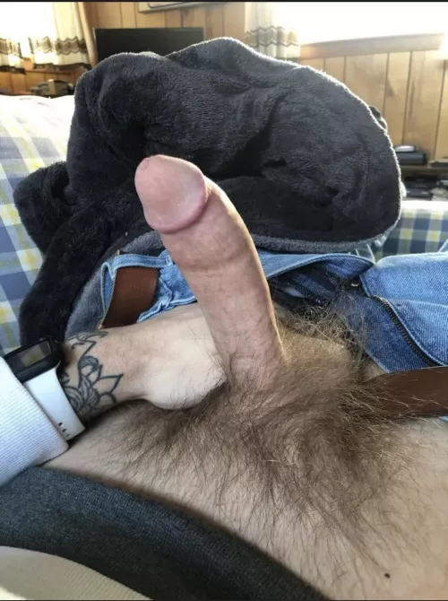 Soft straight pubes and wood this morning :) hope you enjoy [32]