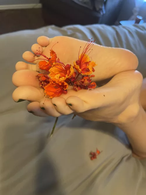 Soles with flair🌺