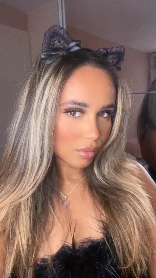 Somali x Dutch x Italian 🐱🖤