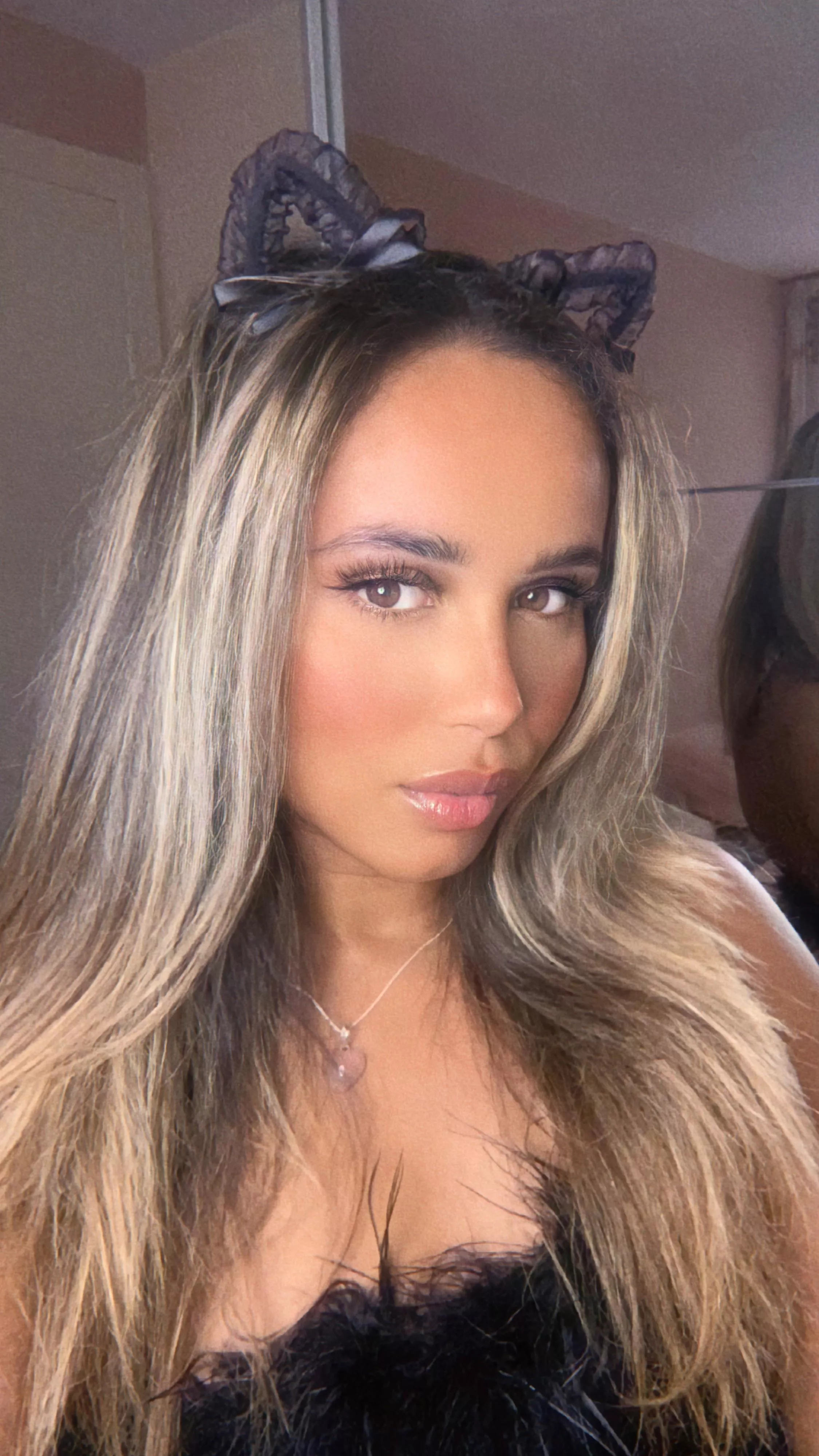 Somali x Dutch x Italian 🐱🖤